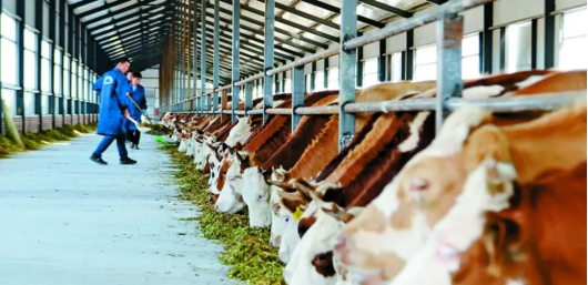 1728457619963481.png 1728376143927765.png