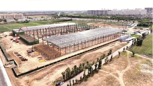 1728457907210382.png 1728375652137086.png