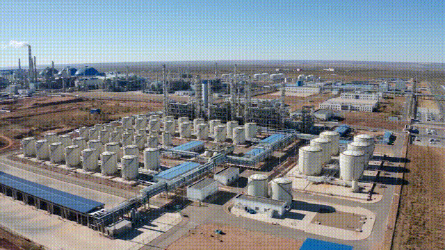 1728458071529979.gif 1728371542626112.gif