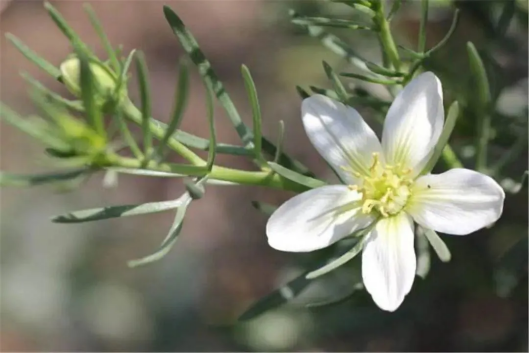 1729217610764588.png image.png