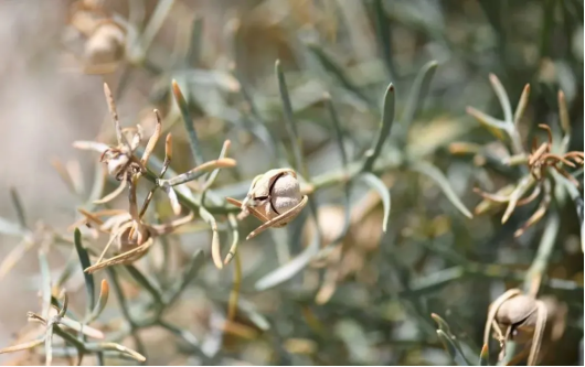 1729217643560531.png image.png