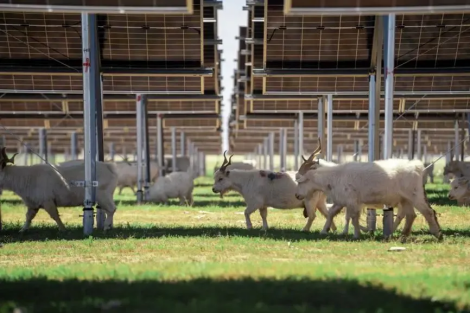 1731044142132537.png 1731044142132537.png