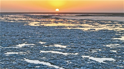 1741078361502353.png 圖片1.png