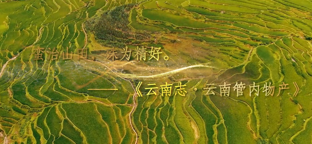 1746515297126892.png 1746515297126892.png