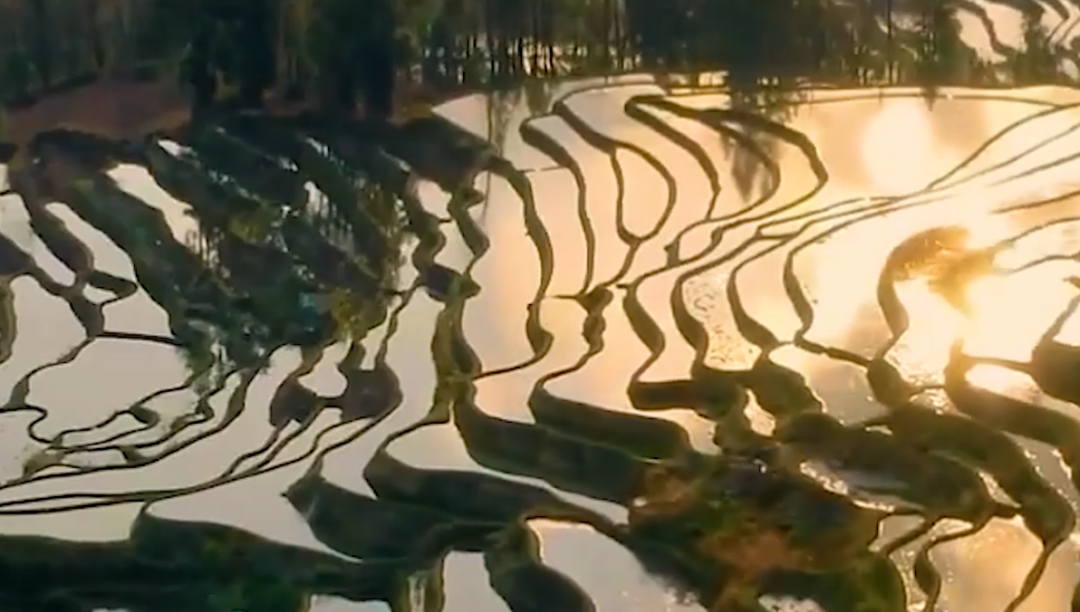 1746515304399119.png 1746515304399119.png