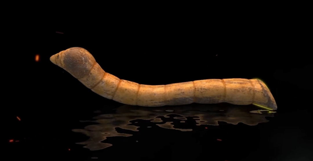 1746516699134160.png 1746516699134160.png