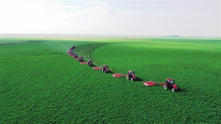 1750317307129740.png 1750317307129740.png