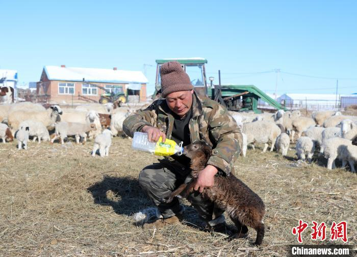 1751011603911972.png 圖片1.png