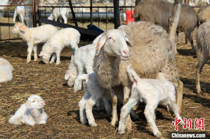 1751011610114034.png 圖片2.png