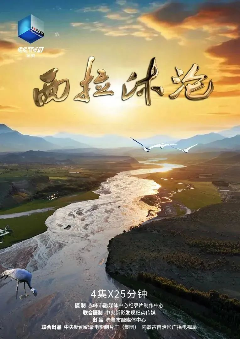 1755498960345502.png 1755498960345502.png