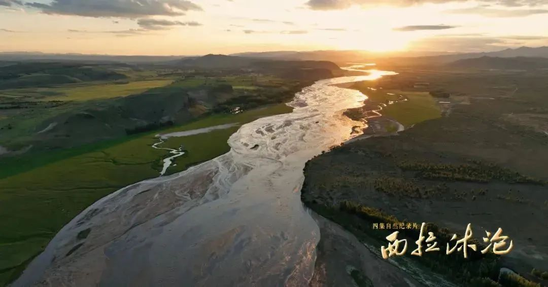 1755498966558681.png 1755498966558681.png