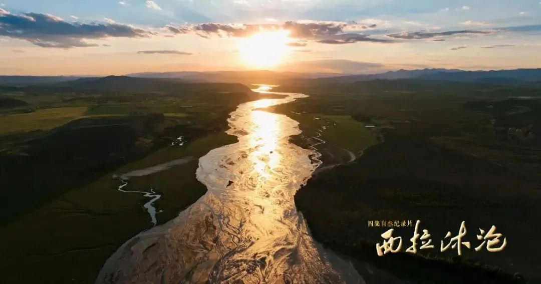 1755498975113375.png 1755498975113375.png