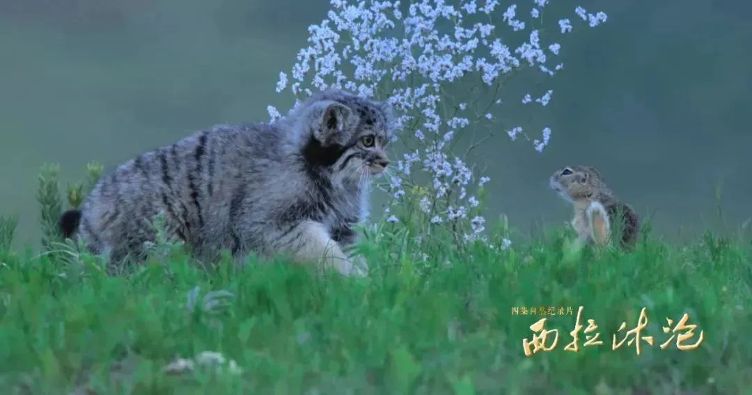 1755498980615784.png 1755498980615784.png