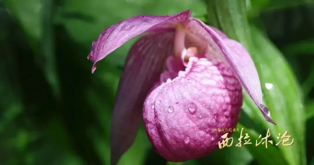 1755498997817001.png 1755498997817001.png