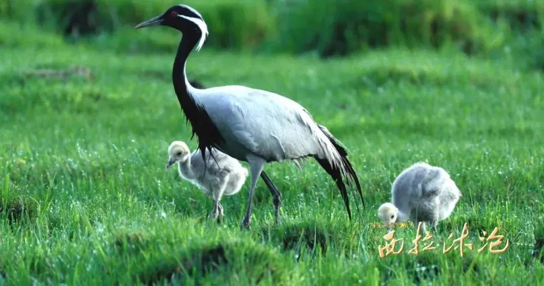 1755499003110565.png 1755499003110565.png