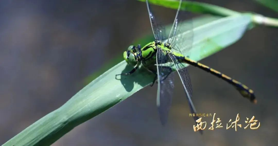 1755499008117080.png 1755499008117080.png