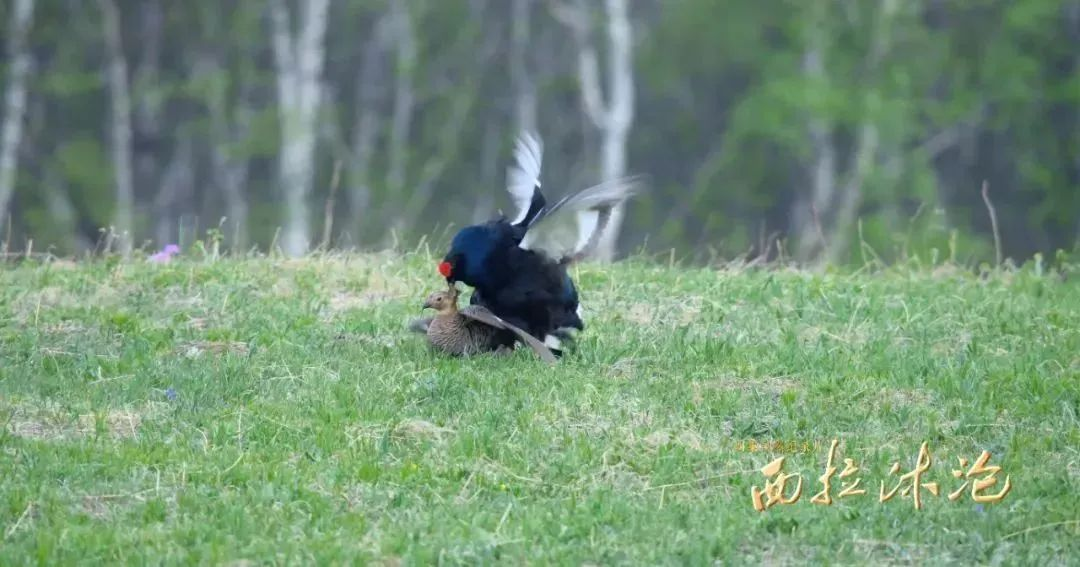 1755499015121921.png 1755499015121921.png