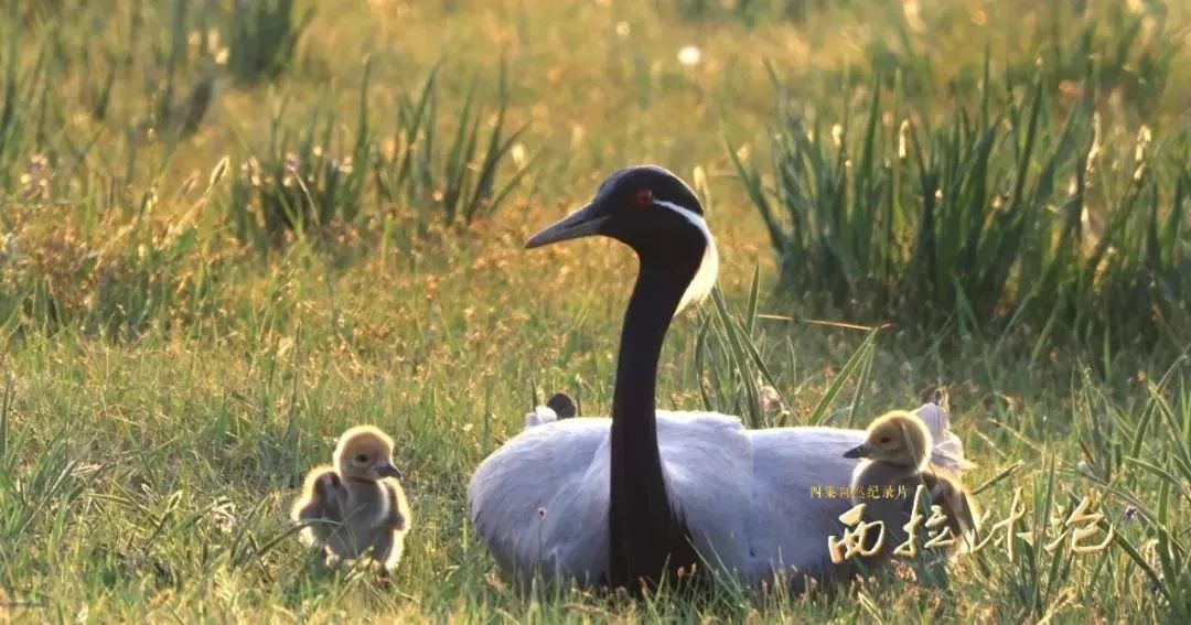 1755499026802069.png 1755499026802069.png