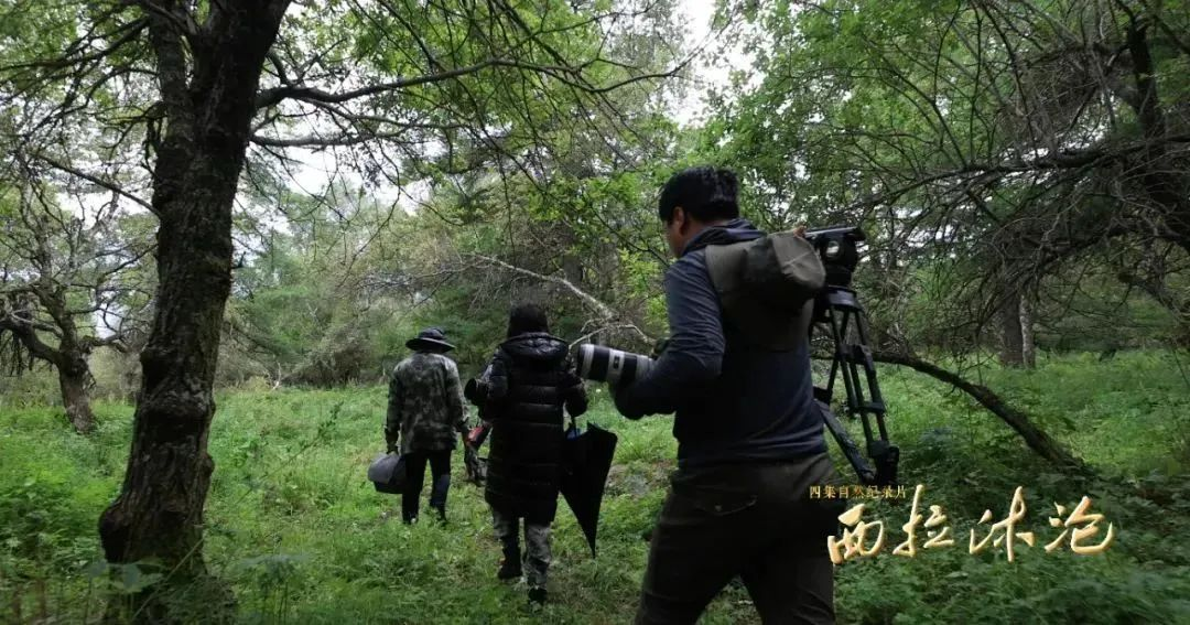 1755499044127899.png 1755499044127899.png