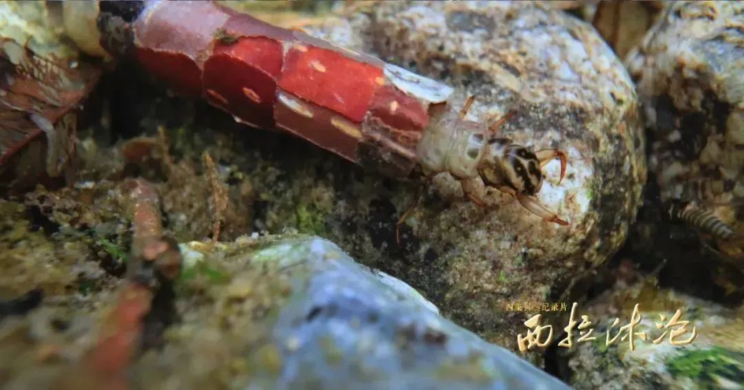 1755499049661398.png 1755499049661398.png