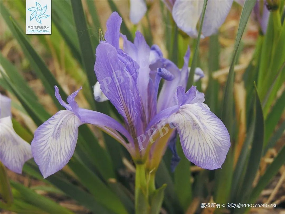 1755825802104425.png 1755825802104425.png