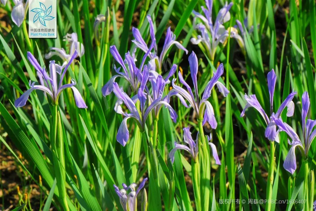 1755825817510356.png 1755825817510356.png