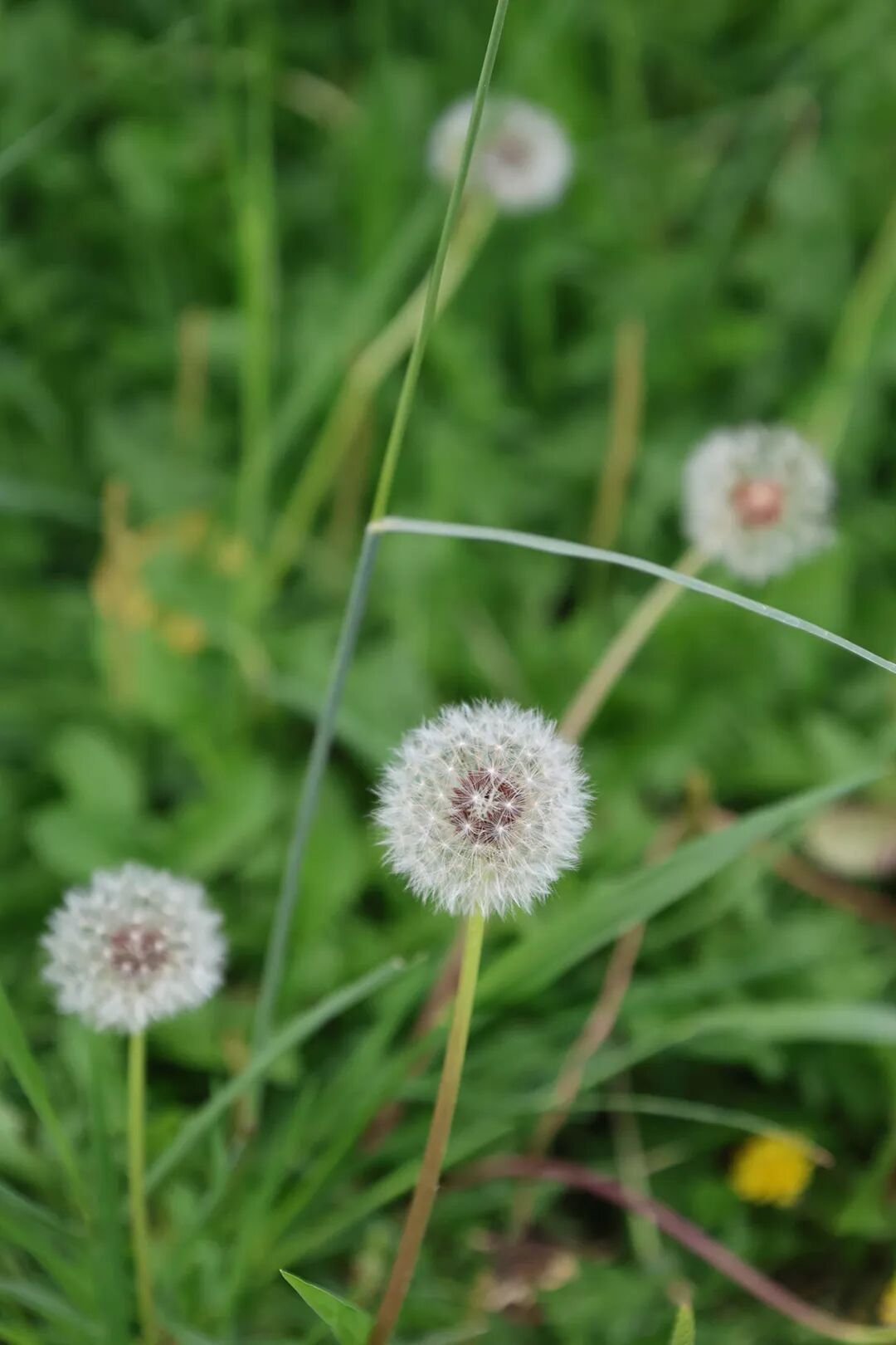 1757038751514014.png 1757038751514014.png