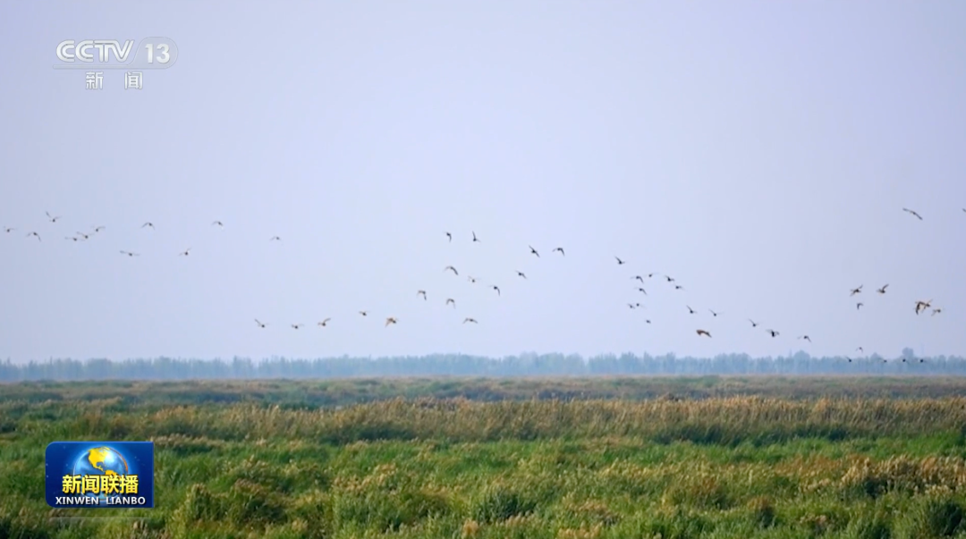 1757573825855643.png 1757573825855643.png