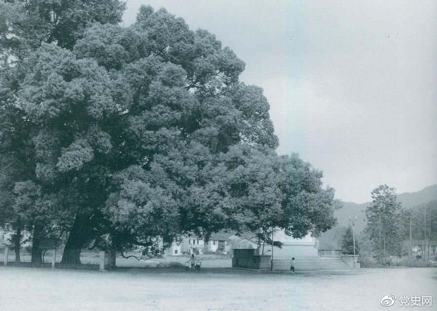 1760496620432555.png 1760496620432555.png