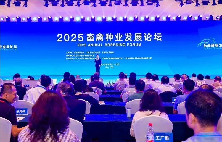 1760512092856633.png 圖片1.png