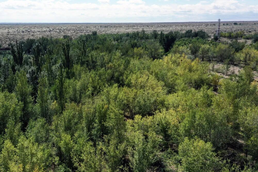 1760665920599647.png 1760665920599647.png