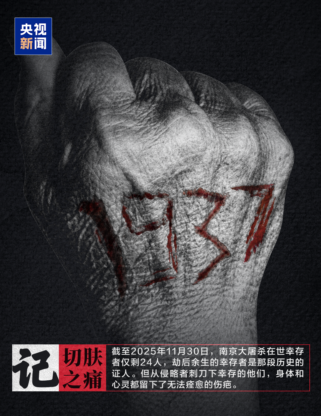 1765849032547794.png 1765849032547794.png