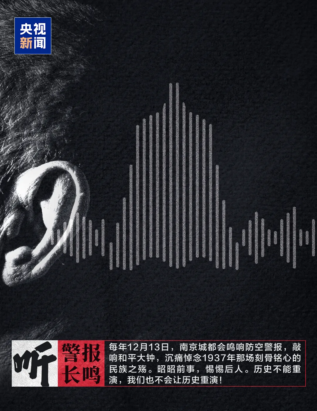 1765849039339563.png 1765849039339563.png