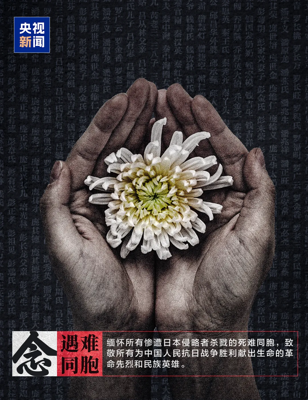 1765849055220279.png 1765849055220279.png