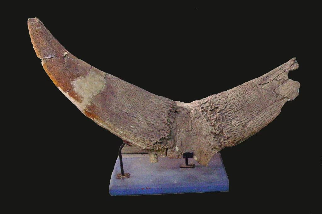 1766716691409490.png 1766716691409490.png