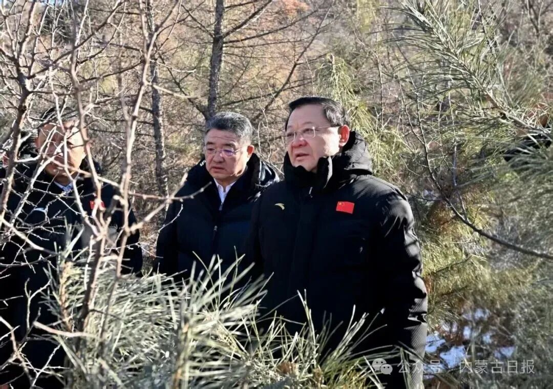 1770000239555110.png 1770000239555110.png