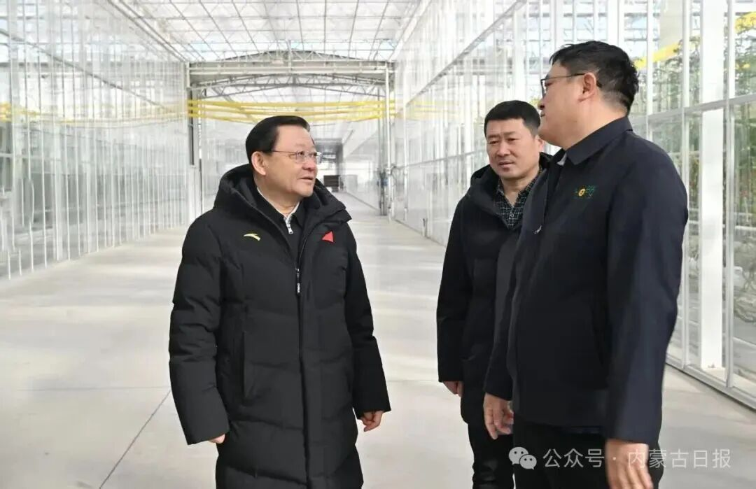 1770000245312195.png 1770000245312195.png