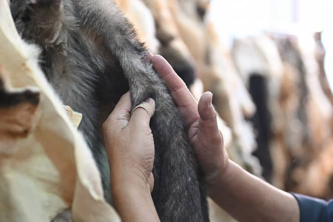 1770358509146738.png 1770358509146738.png