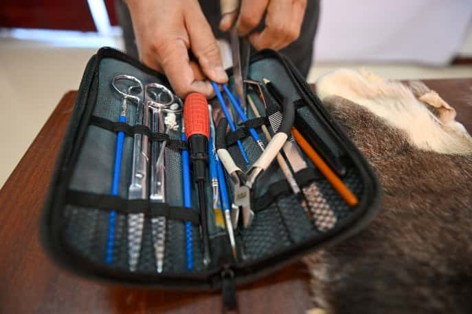 1770358539108267.png 1770358539108267.png