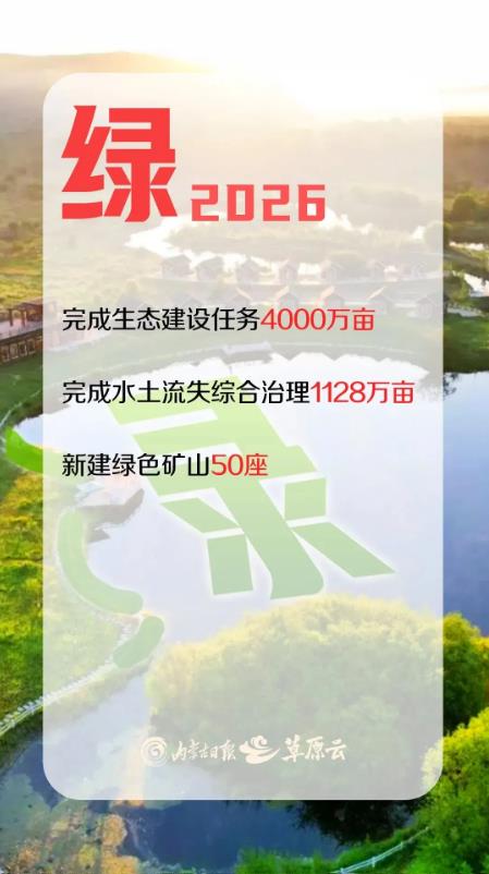 1773023840295413.jpg 2.jpg