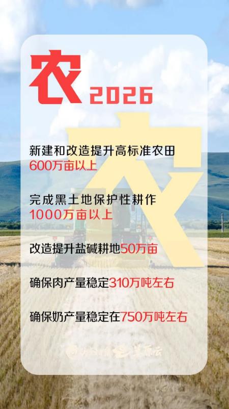 1773023856969376.jpg 5.jpg