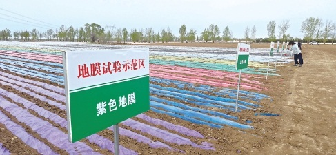 1773198440906894.png 圖片2.png
