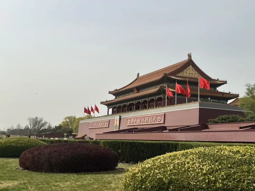 1773365874733003.png 1773365874733003.png