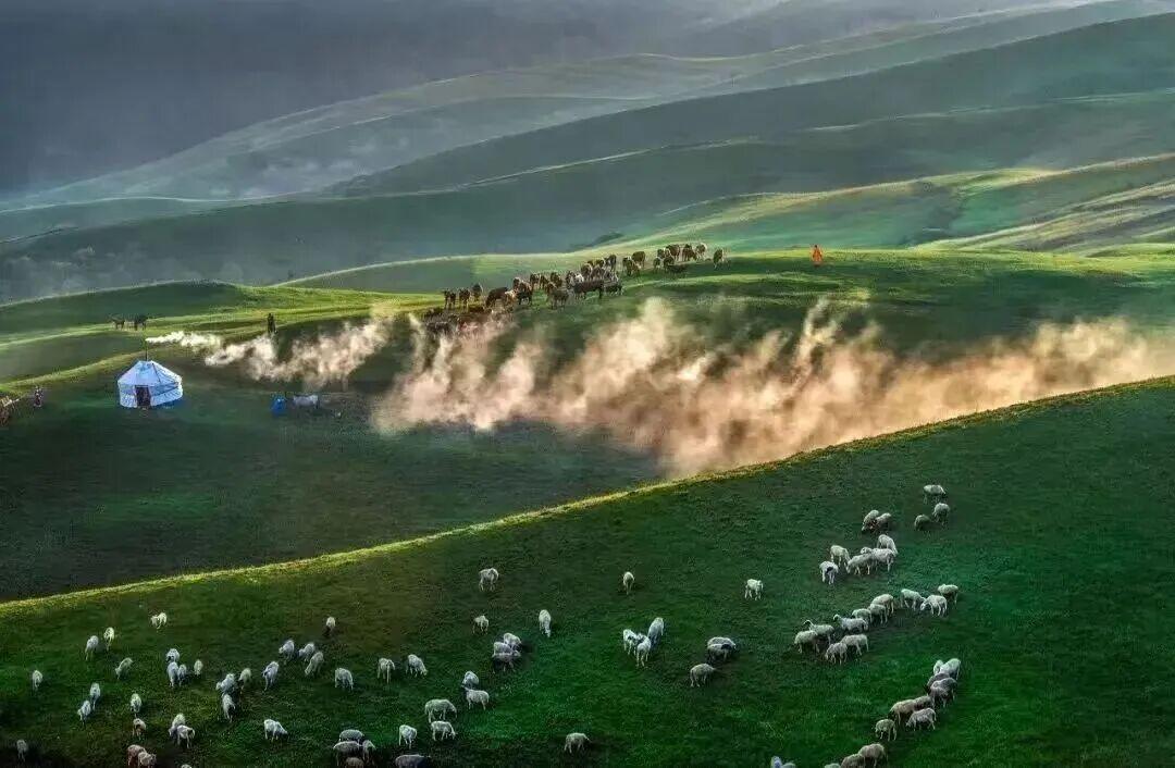 1775031075441549.jpg 1775031075441549.jpg